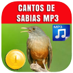 Canto De Sabias Laranjeiras 2021 biểu tượng