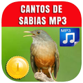 Canto De Sabias Laranjeiras 2021