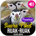Suara Ruak Ruak Pikat Lengkap