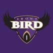 Ebony Bird: Ravens News