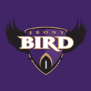 Ebony Bird: Ravens News APK