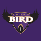 Ebony Bird icône