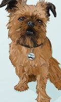 Brussels Griffon Wallpapers ภาพหน้าจอ 2
