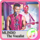 🎶 Mlindo 🎶 Songs Hors ligne 🎶 icône
