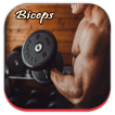 Biceps Workout Guide