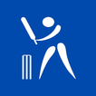 ”Dream Team Fantasy Cricket