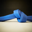 BJJ Blue Belt Requirements 2.0 アイコン