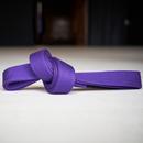 Purple Belt Requirements 2.0 APK