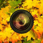 Aki Camera -Autumn & halloween icône