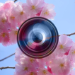 Haru Camera - Spring and Valen