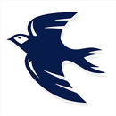 CityBluebirds APK