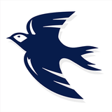 CityBluebirds icon