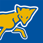 LCFCFoxes icon