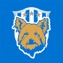 The Terriers - Live Scores APK