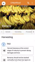 Digital Services Portfolio XAPK download
