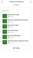 Virgen de Guadalupe screenshot 1