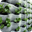 Hydroponics Design Ideas aplikacja