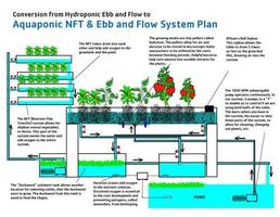 Hydroponics Design Ideas capture d'écran 3