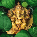 Ganesh Mobile Wallpapers APK