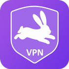 Zebra VPN icône