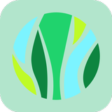 Jungle icono