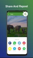 Status Saver - Download & Save Status for WhatsApp تصوير الشاشة 1