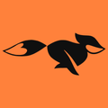 FastFox VPN