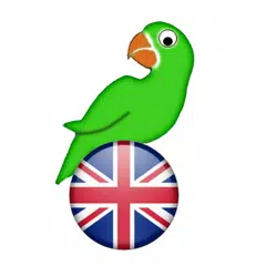 Learn English from scratch Icon