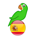 Learn Spanish from scratch APK
