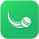 Live Cricket Score : Live Line APK