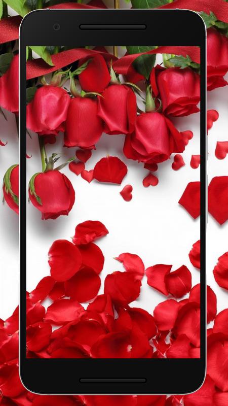 Wallpaper Bunga Mawar Hd Android
