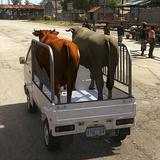 Fazenda Animal Transporte jogo