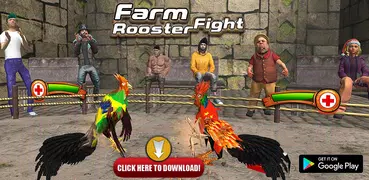 Farm Rooster Fighting Chicks 2