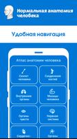 Нормальная анатомия человека syot layar 2