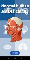 Human anatomy Plakat