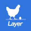 Layer APK