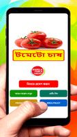 টমেটো চাষ ~ Tomato Cultivation постер