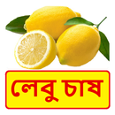 লেবু চাষ ~ Lemon Cultivation APK