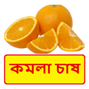কমলা চাষ ~ Orange Cultivation APK