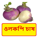 ওলকপি চাষ ~ Turnip Cultivation APK