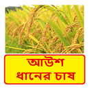 আউশ ধানের চাষের সঠিক পদ্ধতি APK