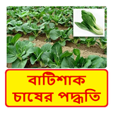 বাটিশাকের চাষের পদ্ধতি icon
