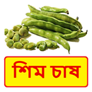 শিম চাষ ~ Bean Cultivation APK
