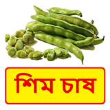 শিম চাষ ~ Bean Cultivation icon