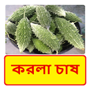 করলা চাষের সঠিক পদ্ধতি APK