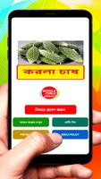 করলা চাষের সঠিক পদ্ধতি poster