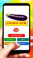 বেগুন চাষ ~Brinjal Cultivation poster