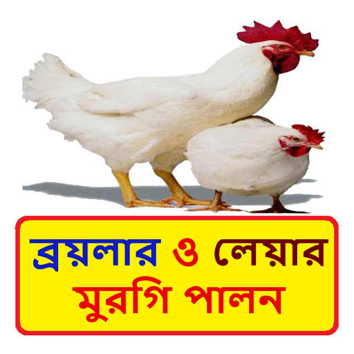 ব্রয়লার ও লেয়ার মুরগি পালন