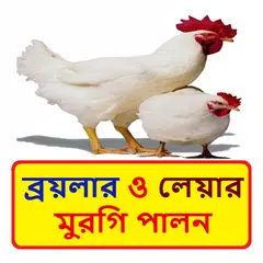 ব্রয়লার ও লেয়ার মুরগি পালন