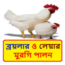 ব্রয়লার ও লেয়ার মুরগি পালন APK